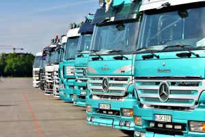 Row of lorries ready for inspection